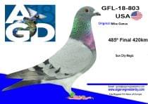 GFL-18-803