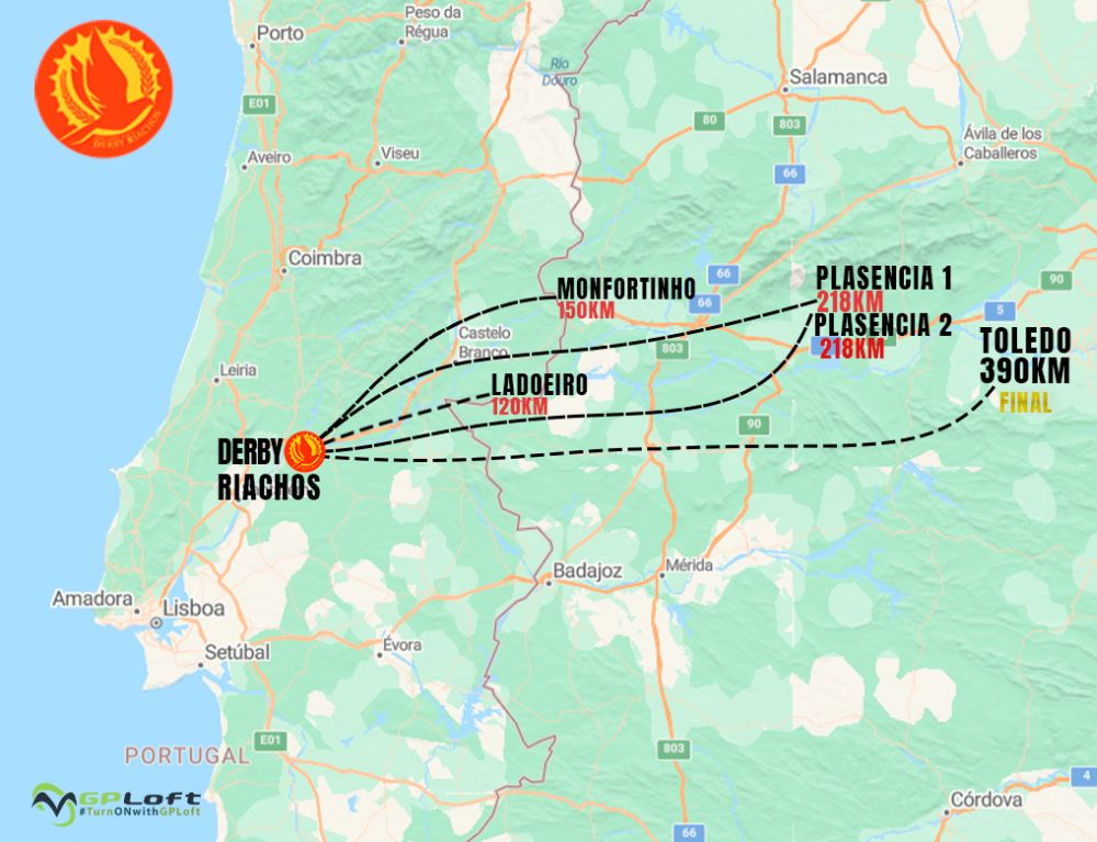 Leilão de Pombos DERBY RIACHOS 2024 PARTE 1A