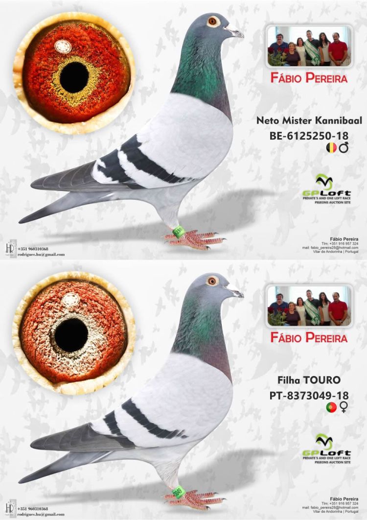 leil-o-do-pombo-01-casal-do-propriet-rio-f-bio-pereira-gploft