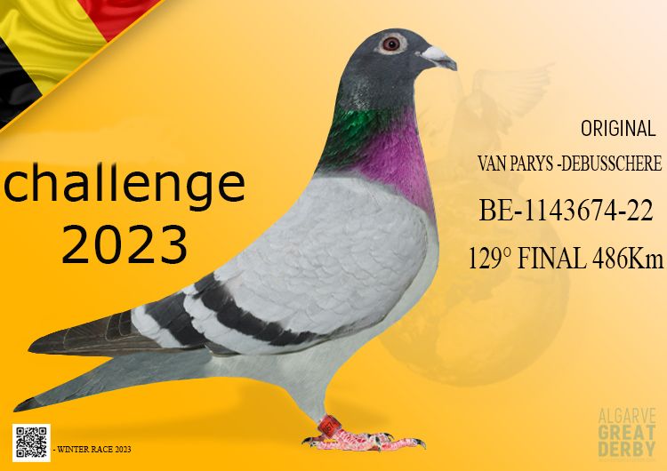 Pigeon Digest 新春特別号 54号 387-Grandson Best Kittel' - DV-02723-24-387
