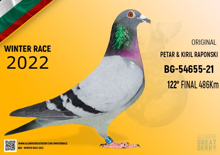 Pigeon Auction BG-54655-21, seller Petar & Kiril Raponski H