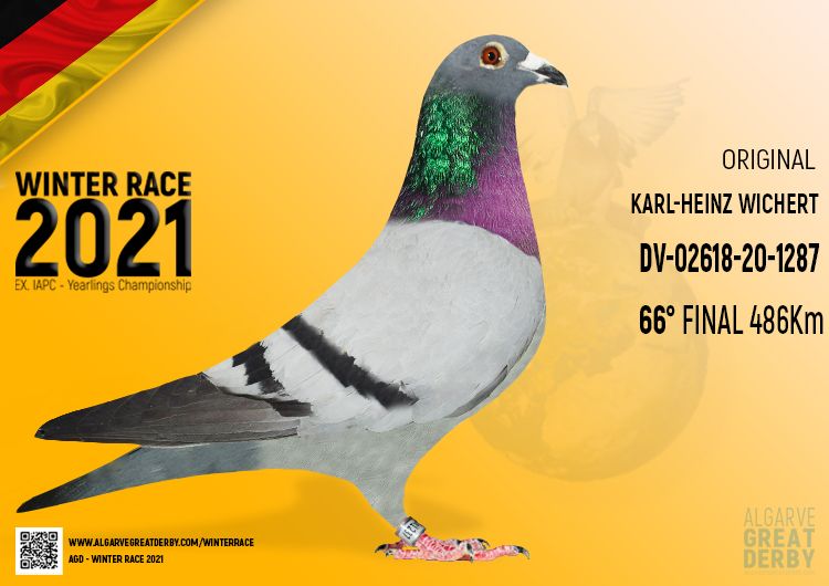 Pigeon Auction DV 02618 20 1287 Seller KARL HEINZ WICHERT B 66 pigeon-auction-dv-02618-20-1287-seller-karl-heinz-wichert-b-66