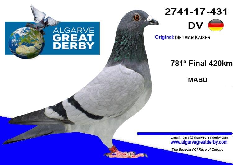 Pigeon Auction DV-02741-17-431, seller DIETMAR KAISER (781º