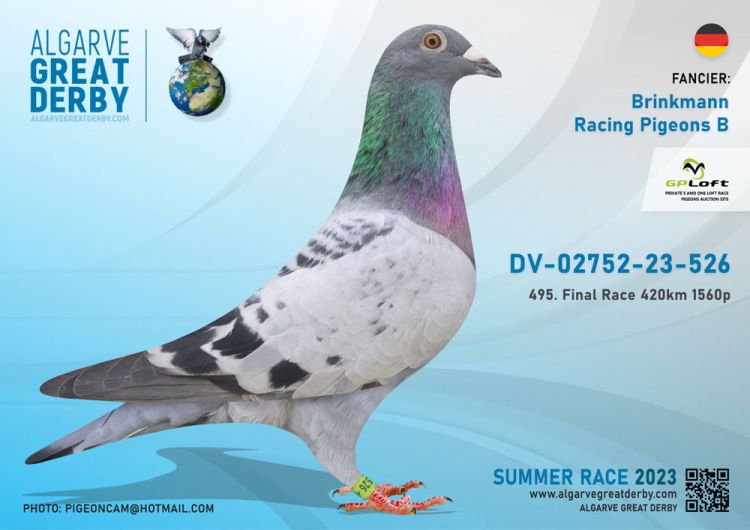 Pigeon Digest 新春特別号 54号 Pigeon Digest 新春特別号 54号 Pigeon Auction PT23-3127947