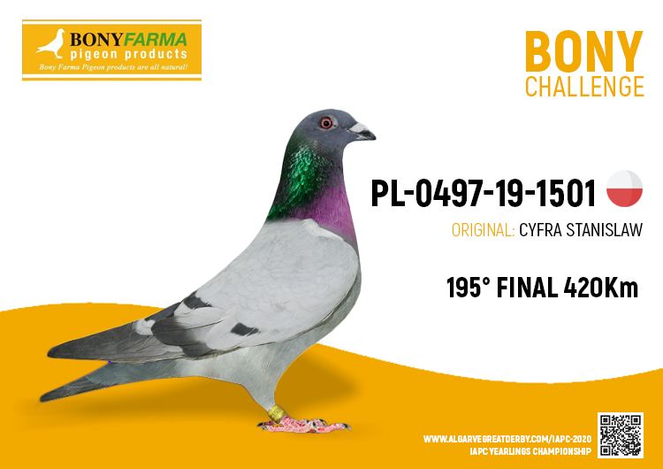 Futterschaufel + Messbecher 2L - Bony Farma - Pigeon Products