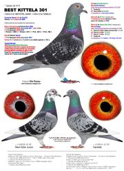 1265301-21
