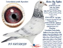 1517520-21