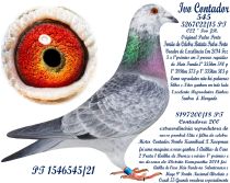 1546545-21
