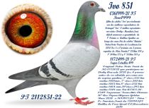 2112851-22