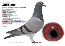3232843-23