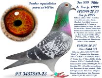 3457889-23