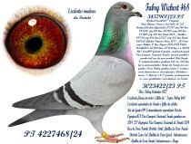 4227468-24