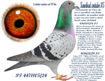 4471105-24