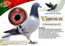 4483162-24
