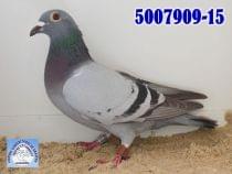 5007909-15