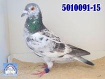 5010091-15