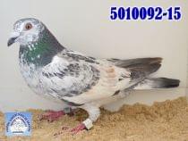 5010092-15