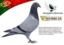 5012602-25