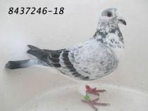 8437246-18