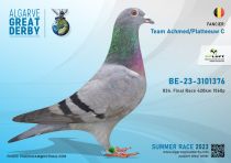 BE-23-3101376