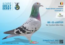 BE-23-6107129