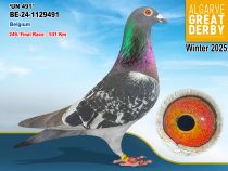 BE-24-1129491
