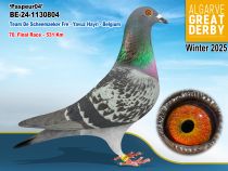 BE-24-1130804