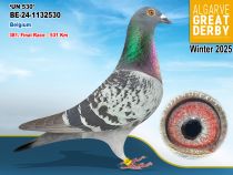 BE-24-1132530