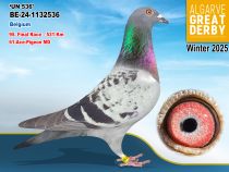 BE-24-1132536