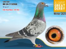 BE-24-1132568