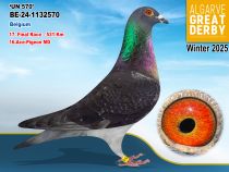 BE-24-1132570