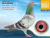 BE-24-4025502