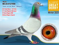BE-24-4127998