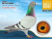 BE-24-4128000