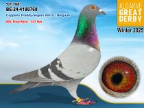 BE-24-4188768