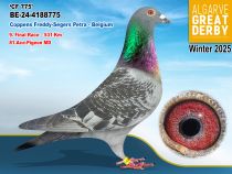 BE-24-4188775