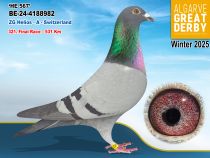 BE-24-4188982