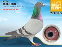 BE-24-4190957