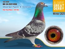 BE-24-5051898