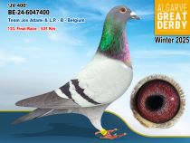 BE-24-6047400