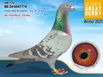 BE-24-6047774