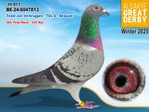 BE-24-6047813