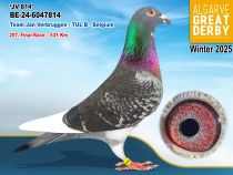 BE-24-6047814