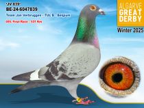 BE-24-6047839