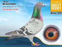 BE-24-6165941