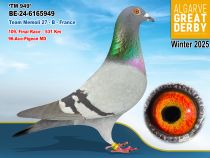 BE-24-6165949