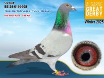 BE-24-6199608