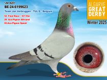 BE-24-6199623
