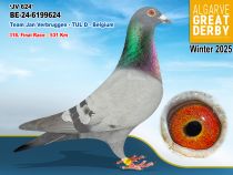 BE-24-6199624