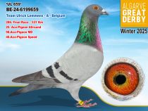 BE-24-6199659